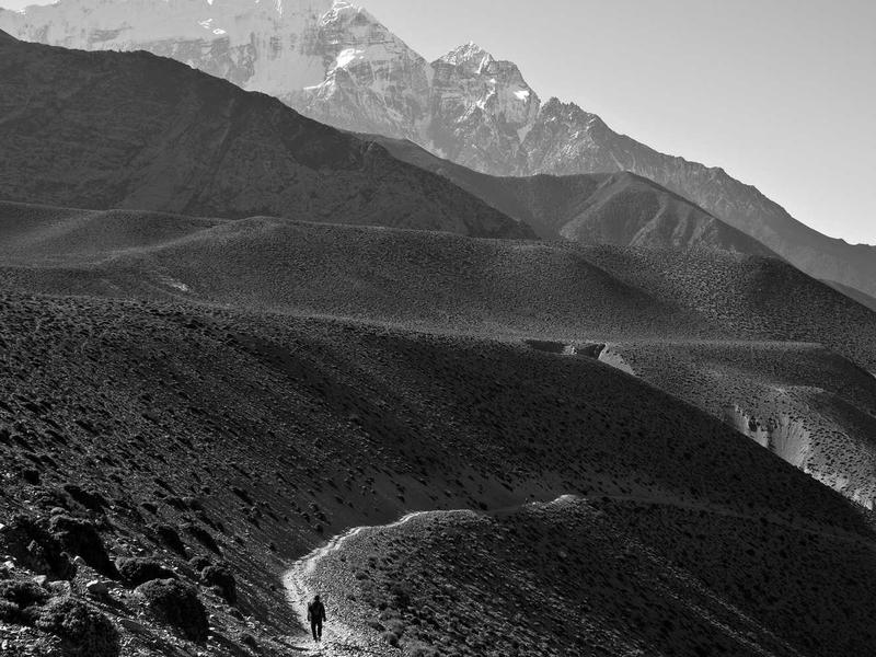 VexoRenuLakel Monterrey